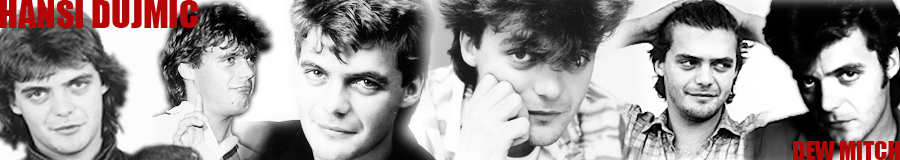 Banner Hansi Dujmic